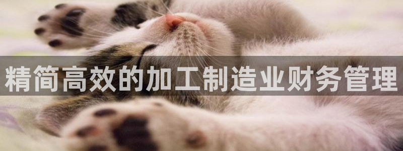 类似乐发传媒的平台
