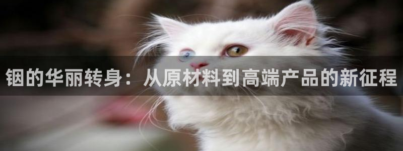 乐发1彩票平台下载