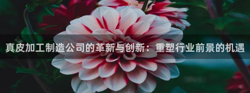 乐发vlll最新平台