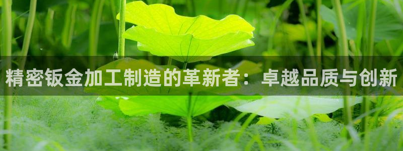 乐发lv是正规平台吗