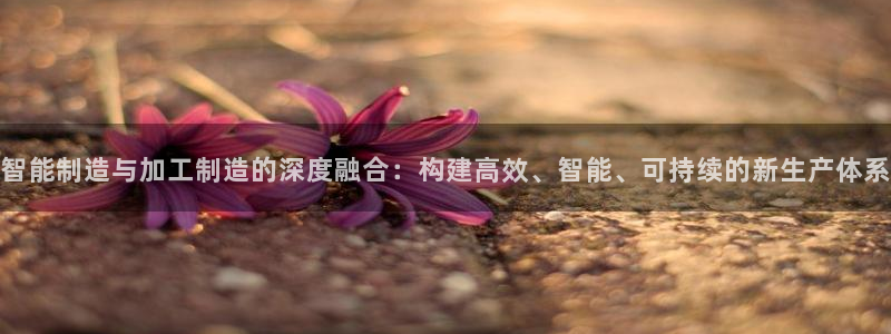 乐发IV投大小平台