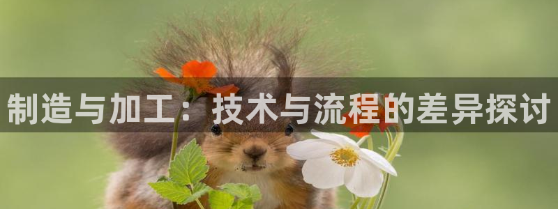 兼职乐app发圈平台