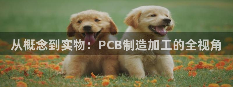 乐发体育平台怎么样知乎