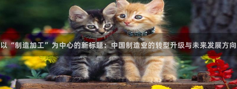 乐赚平台发圈app