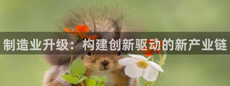 乐豪发平台在线