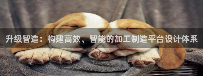 乐跑工资发平台还是卡里