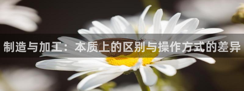 乐发大小单双平台