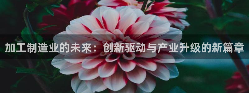 乐发平台怎么样知乎推荐