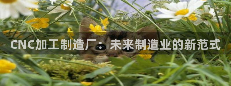 乐发彩票vll平台