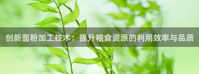 乐发是大平台吗