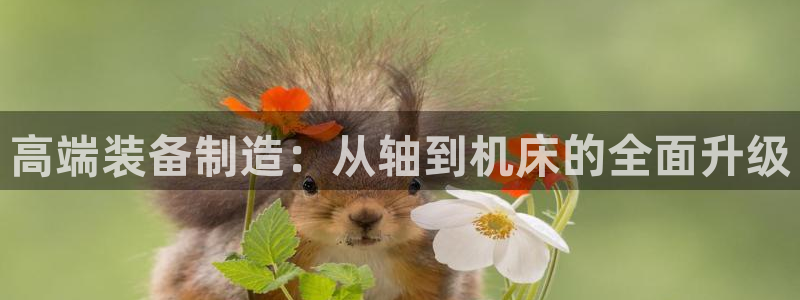 乐发平台网址多少