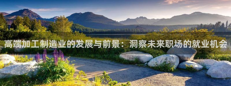 乐发旗下的平台有多少个