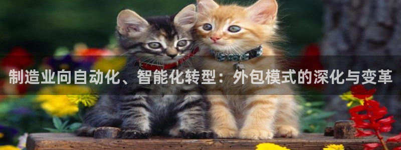 乐发彩票平台wx17 com