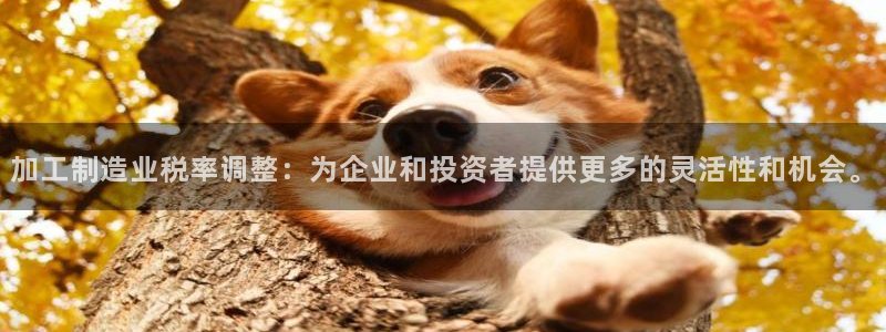 乐发平台下载官网app
