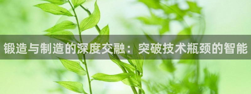 发乐发彩票平台注册