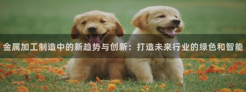 乐发区批发采购平台