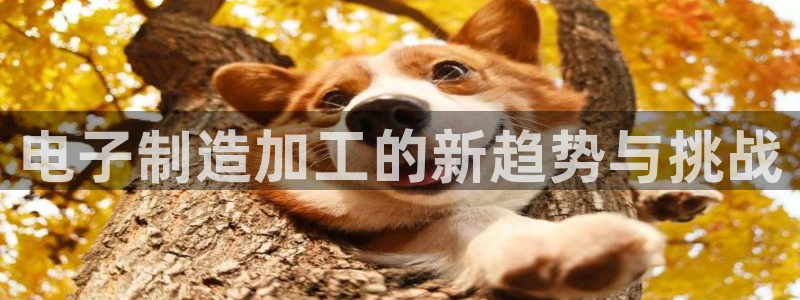 类似乐虎优发老虎机平台