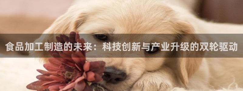 乐发体育平台官网登录