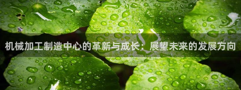 乐发 lll平台