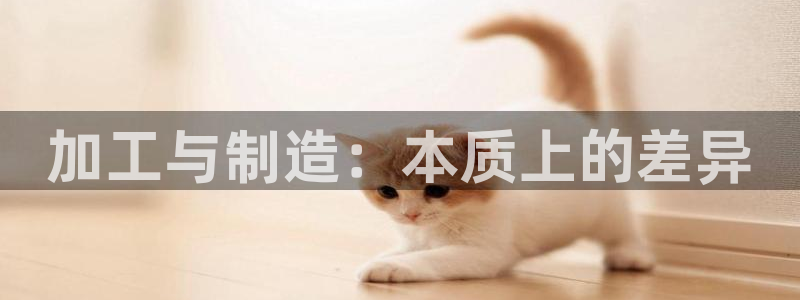 乐发平台杀猪盘