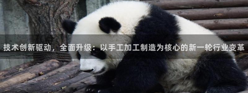 乐发平台注册地址在哪里