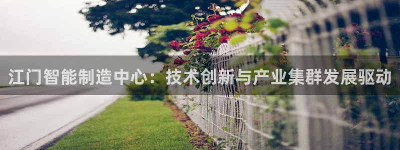 乐发v11平台怎样