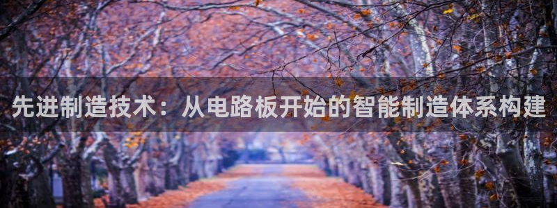 乐发彩票是什么平台