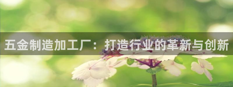 乐发平台注册资金多少钱