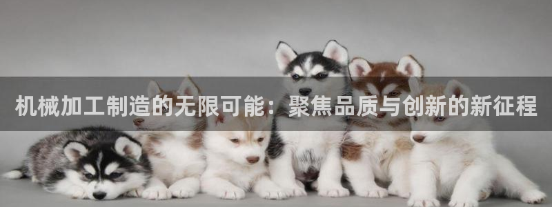 乐发彩票app平台大全