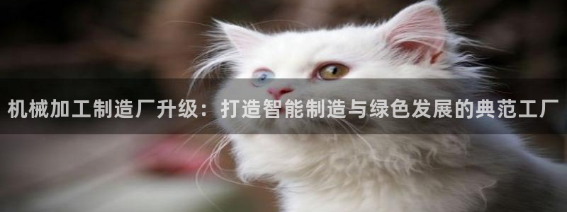 乐发邀请码平台
