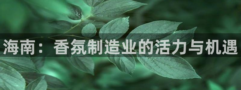 乐发平台黑钱