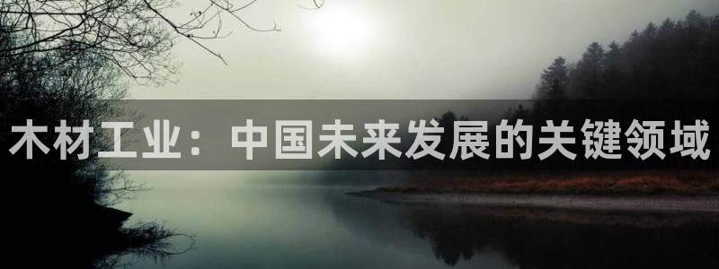 乐发IV投大小平台