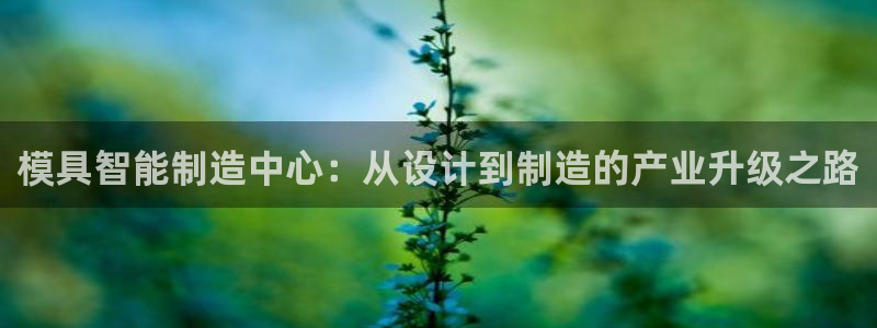 乐发VIII平台