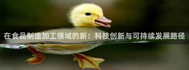 名发乐彩IV平台怎么样