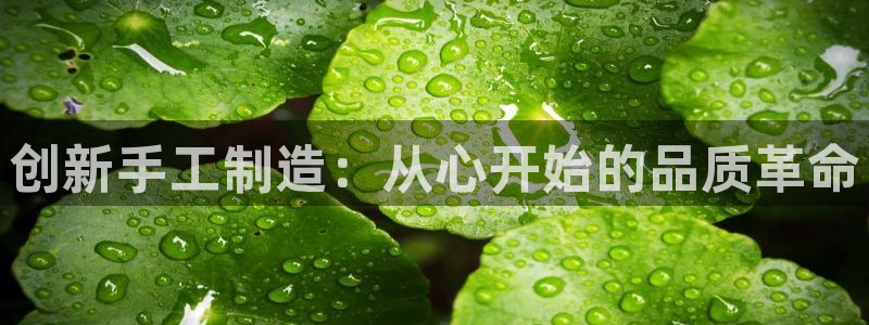 必发误乐黑平台
