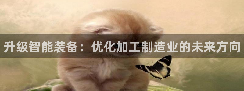 乐发大小平台