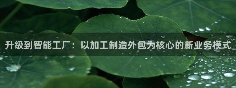 乐发是大平台吗