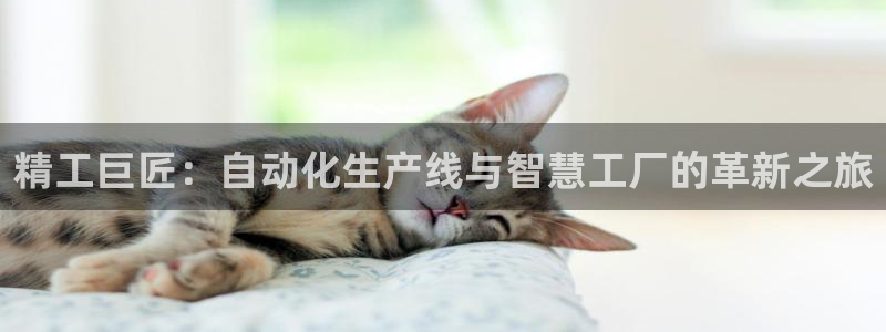 乐发快3大小单双平台
