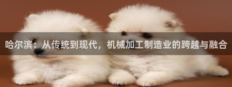 乐发平台怎么样