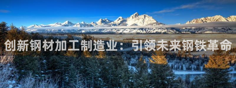 乐发IV_平台