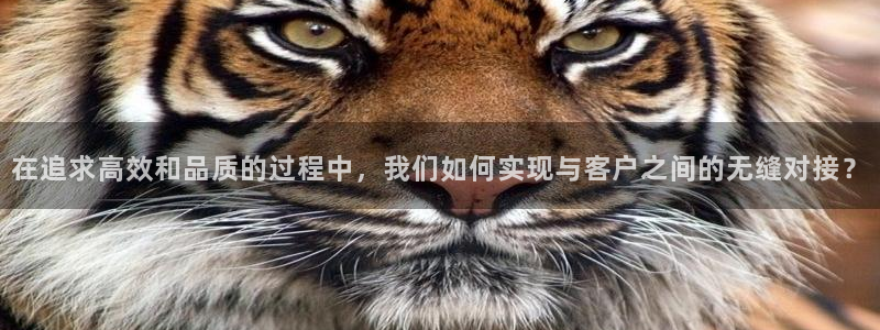 乐发平台官网邀请码