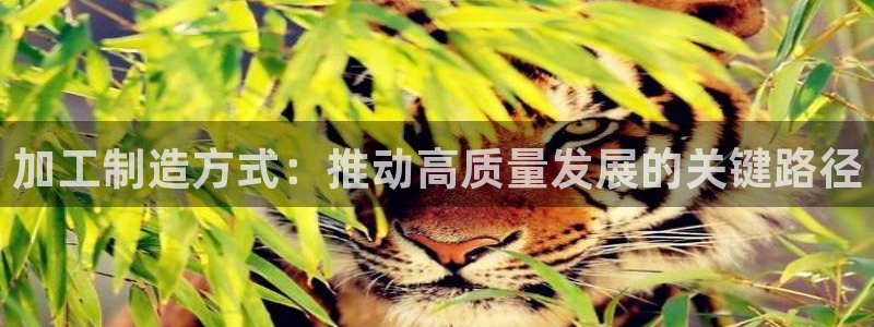 乐赚发圈平台有风险嘛
