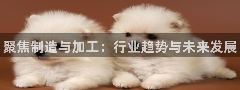 乐发国际官网平台