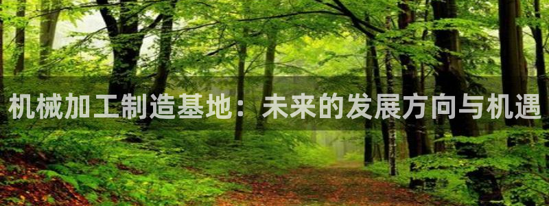 乐发lv平台真实吗