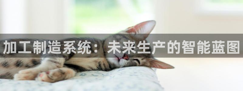 乐发是个什么软件平台