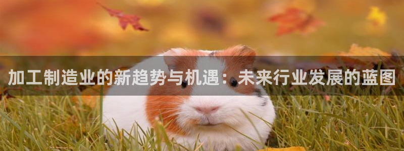 乐发平台真的假的