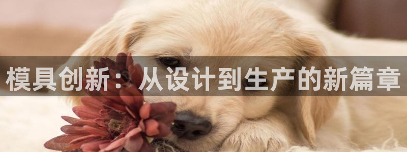 乐发平台邀请码合集在哪