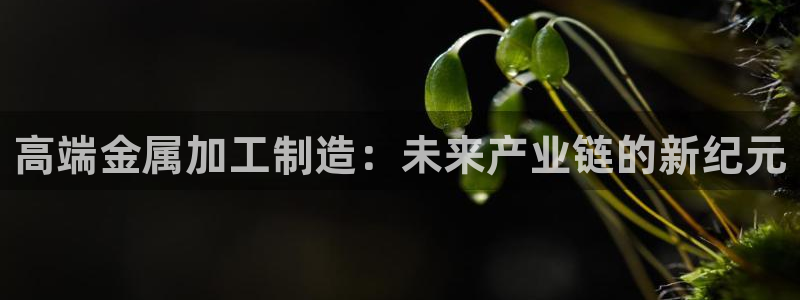 乐豪发平台在线