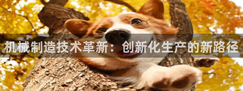 乐发彩票平台网址是什么