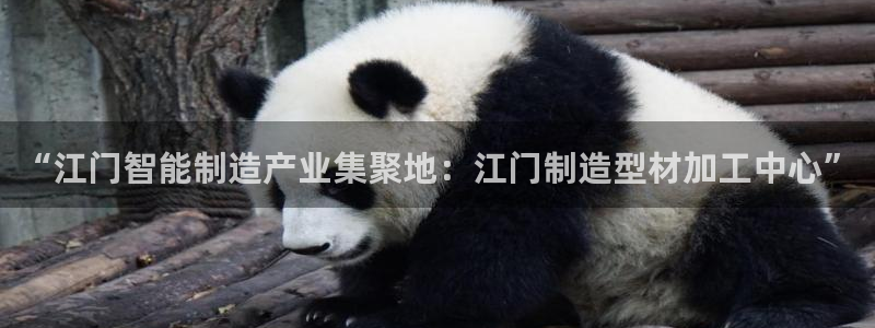 乐发区批发采购平台